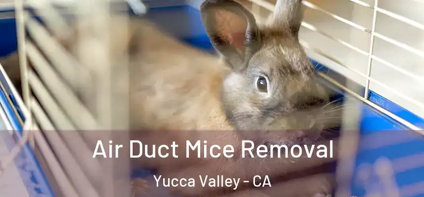  Air Duct Mice Removal Yucca Valley - CA