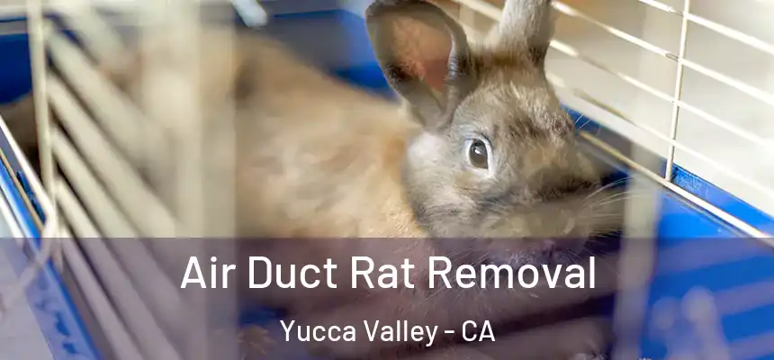 Air Duct Rat Removal Yucca Valley - CA