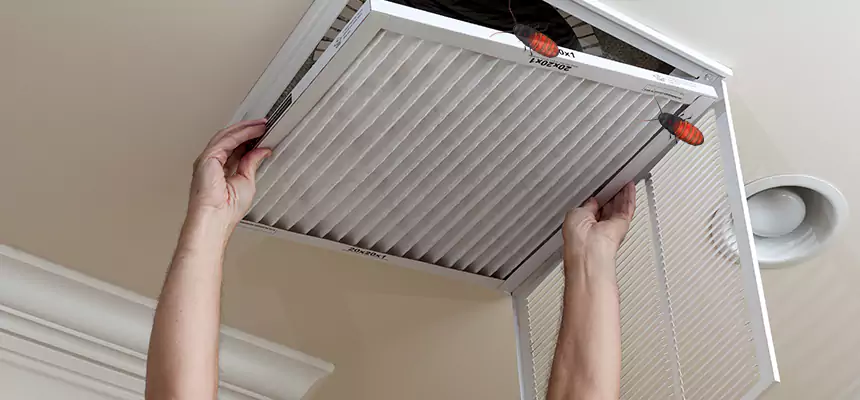 Preventive Cockroach-Proofing for Ducts in Yucca Valley