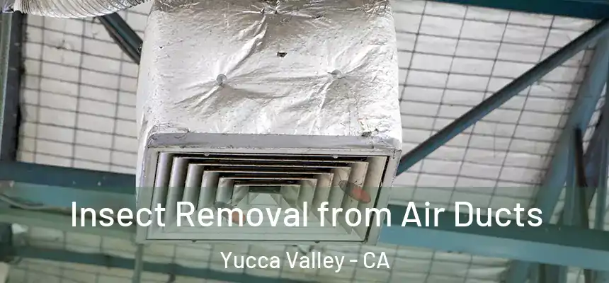 Insect Removal from Air Ducts Yucca Valley - CA