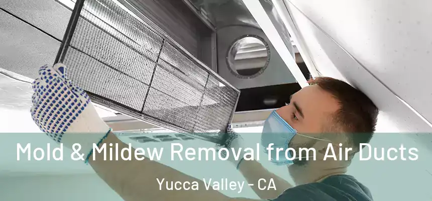  Mold & Mildew Removal from Air Ducts Yucca Valley - CA