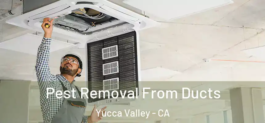 Pest Removal From Ducts Yucca Valley - CA