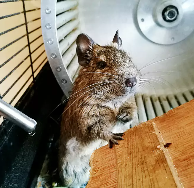 Why Homeowners & Businesses Trust Us Yucca Valley, CA?