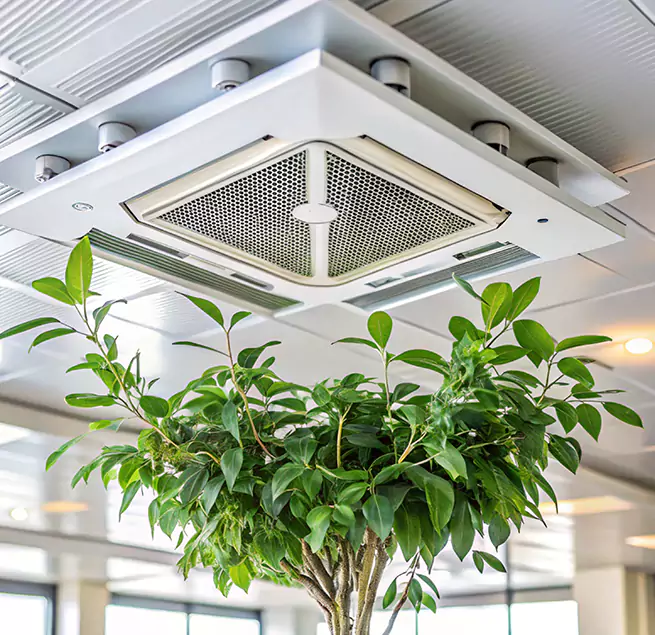 Why Homeowners & Businesses Trust Us in Yucca Valley, CA?